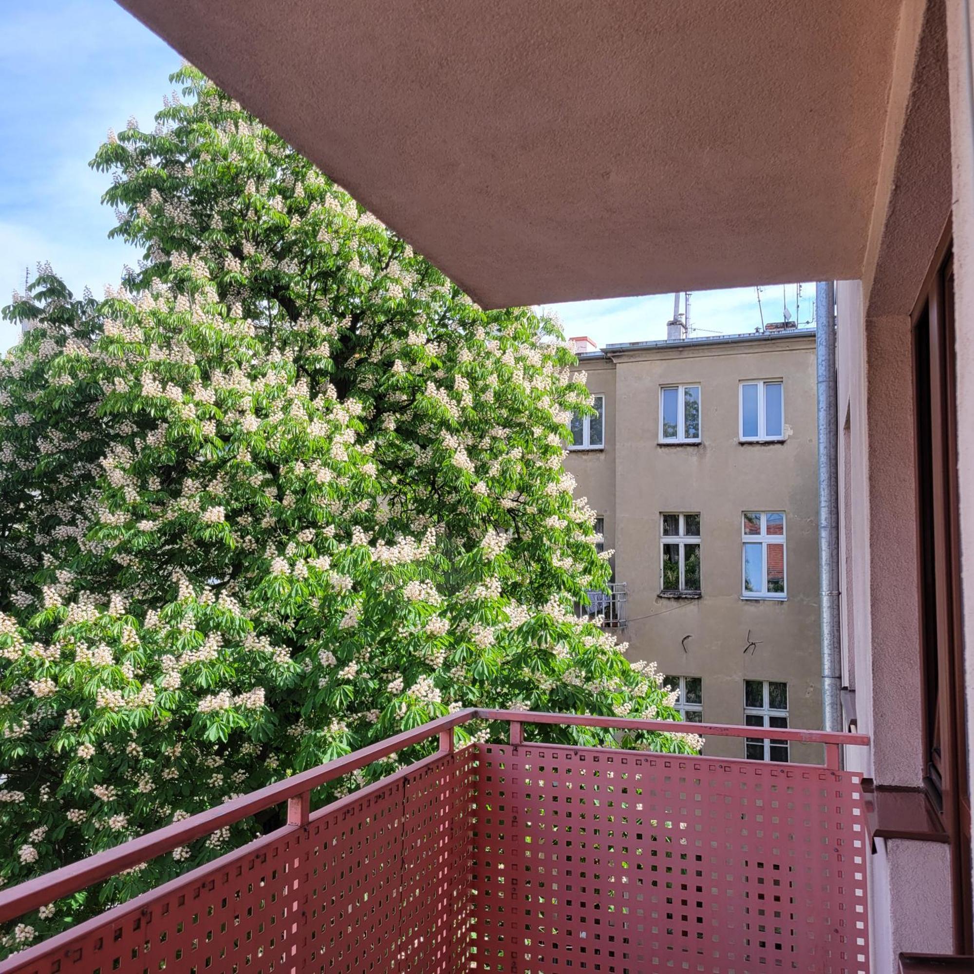 Cozy Apartment Wrocław Eksteriør bilde
